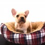 フレンチブルドッグのサムネイル