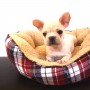 フレンチブルドッグのサムネイル